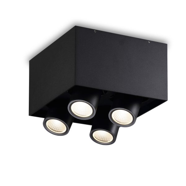 LBL397-BK-4*6W COB Surface Down Light