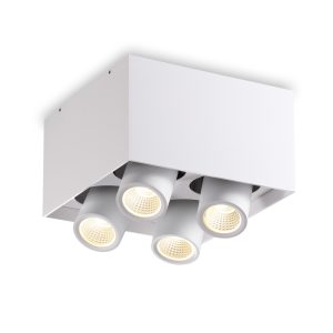 LBL397-WT-4*6W COB Surface Down Light