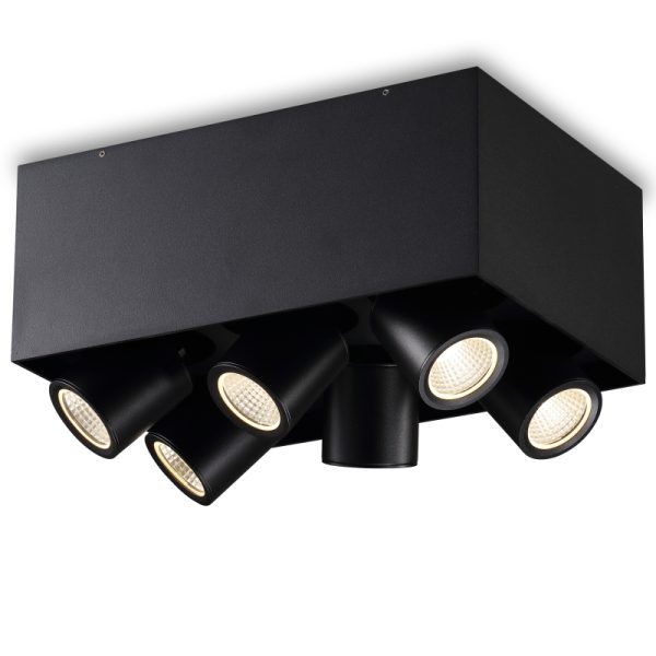 LBL398-BK-6*6W COB Surface Down Light