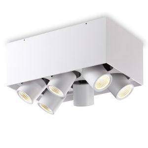 LBL398-WT-6*6W COB Surface Down Light