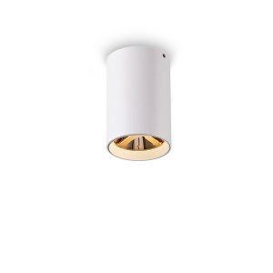 LBL501-WT-GD-5W COB Surface Downlights