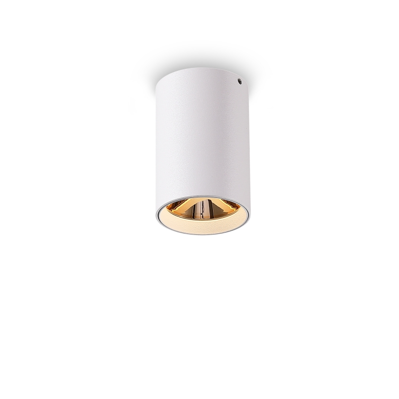 LBL501-WT-GD-5W COB Surface Downlights
