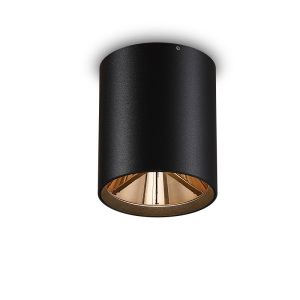 LBL503-BK-GD-12W COB Surface Downlights