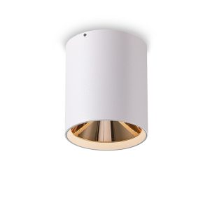 LBL503-WT-GD-12W COB Surface Downlights