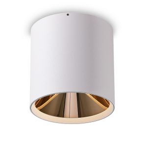 LBL505-WT-GD-24W COB Surface Downlights