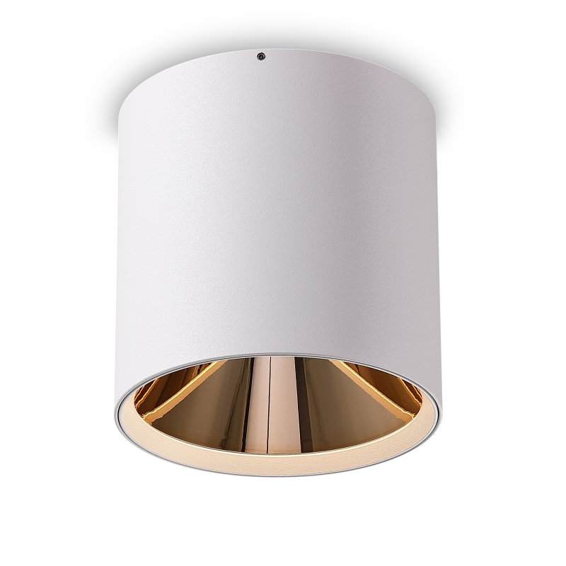 LBL505-WT-GD-24W COB Surface Downlights