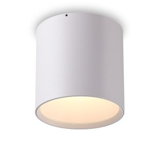 LBL505-WT-WT-24W COB Surface Downlights