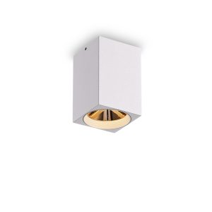 LBL506-WT-GD-5W COB Surface Downlights