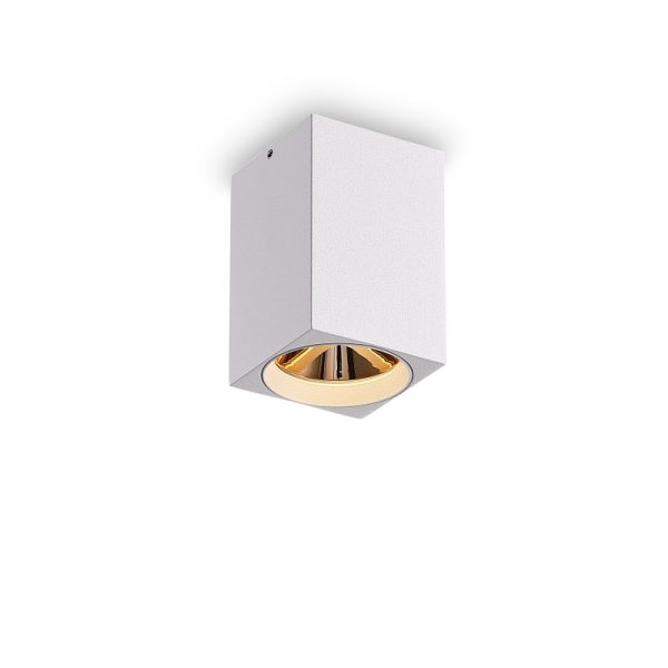 LBL506-WT-GD-5W COB Surface Downlights