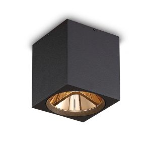 LBL507-BK-GD-12W COB Surface Downlights
