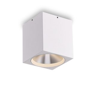 LBL507-WT-CR-12W COB Surface Downlights