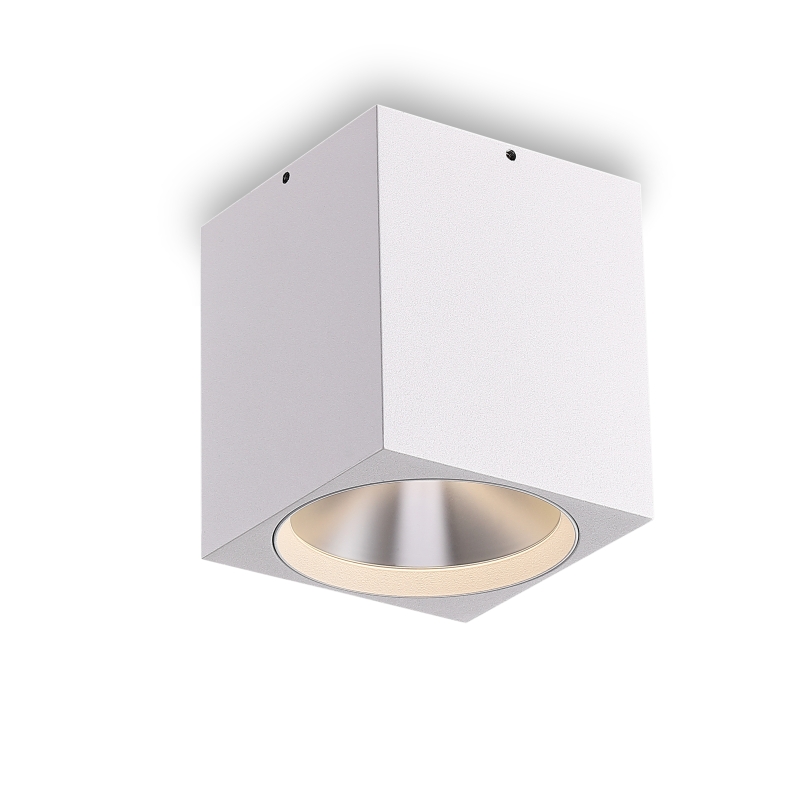 LBL507-WT-CR-12W COB Surface Downlights