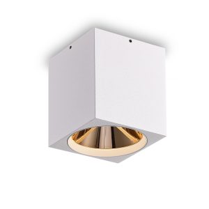 LBL507-WT-GD-12W COB Surface Downlights