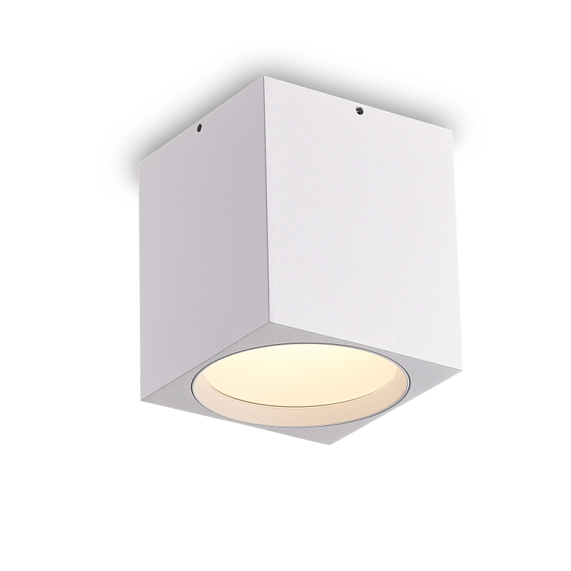LBL507-WT-WT-12W COB Surface Downlights