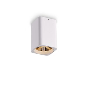 LBL508-WT-GD-5W COB Surface Downlights