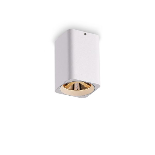 LBL508-WT-GD-5W COB Surface Downlights