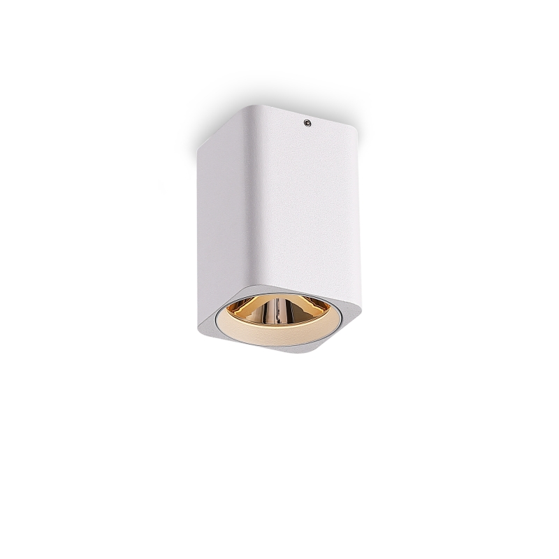LBL508-WT-GD-5W COB Surface Downlights