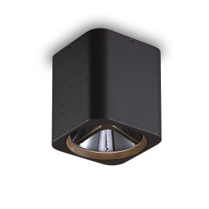 LBL509-BK-BK-12W COB Surface Downlights