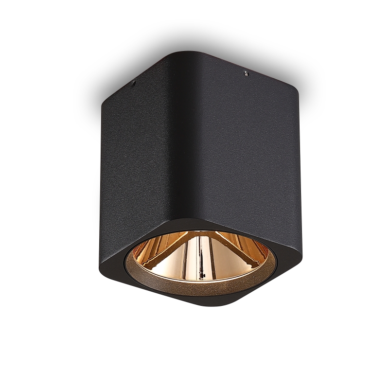 LBL509-BK-GD-12W COB Surface Downlights