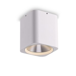 LBL509-WT-CR-12W COB Surface Downlights
