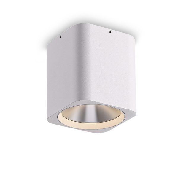 LBL509-WT-CR-12W COB Surface Downlights