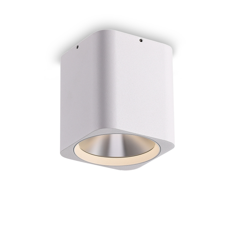 LBL509-WT-CR-12W COB Surface Downlights