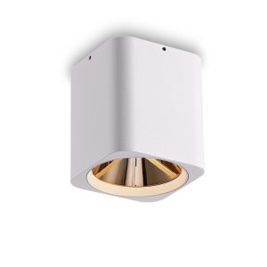 LBL509-WT-GD-12W COB Surface Downlights