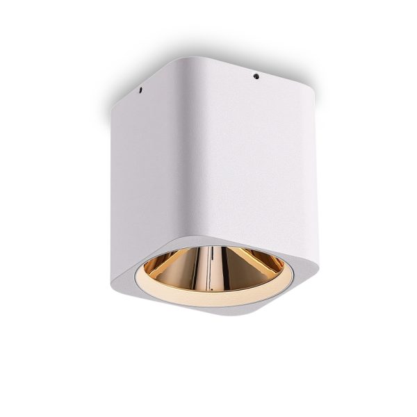 LBL509-WT-GD-12W COB Surface Downlights