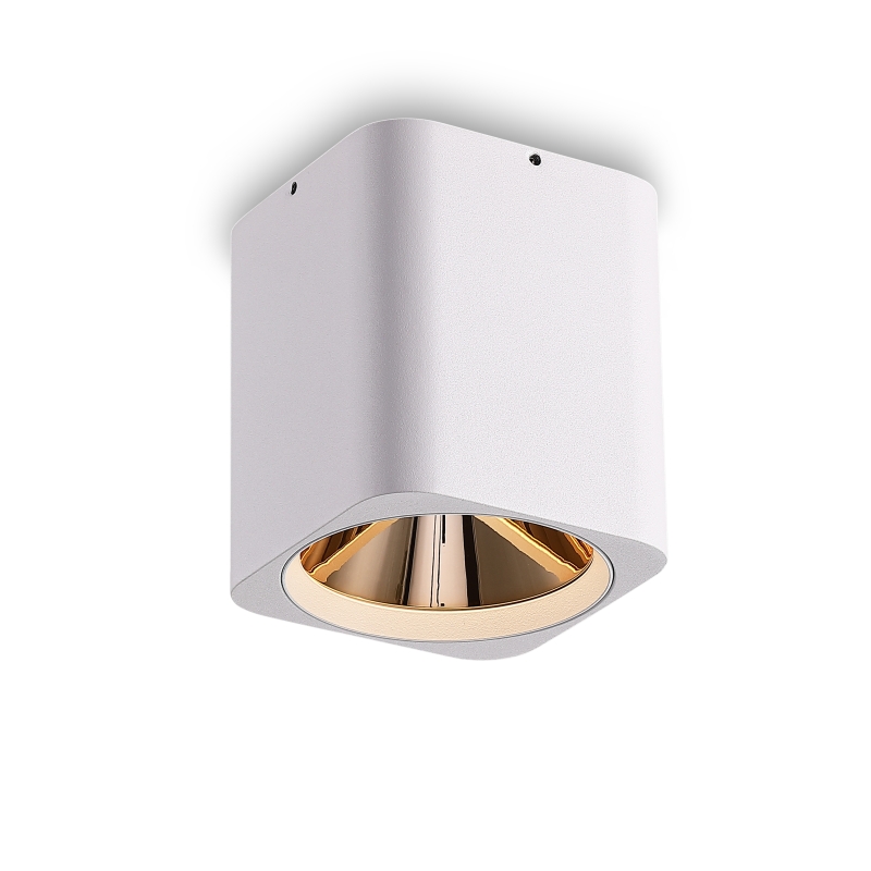 LBL509-WT-GD-12W COB Surface Downlights