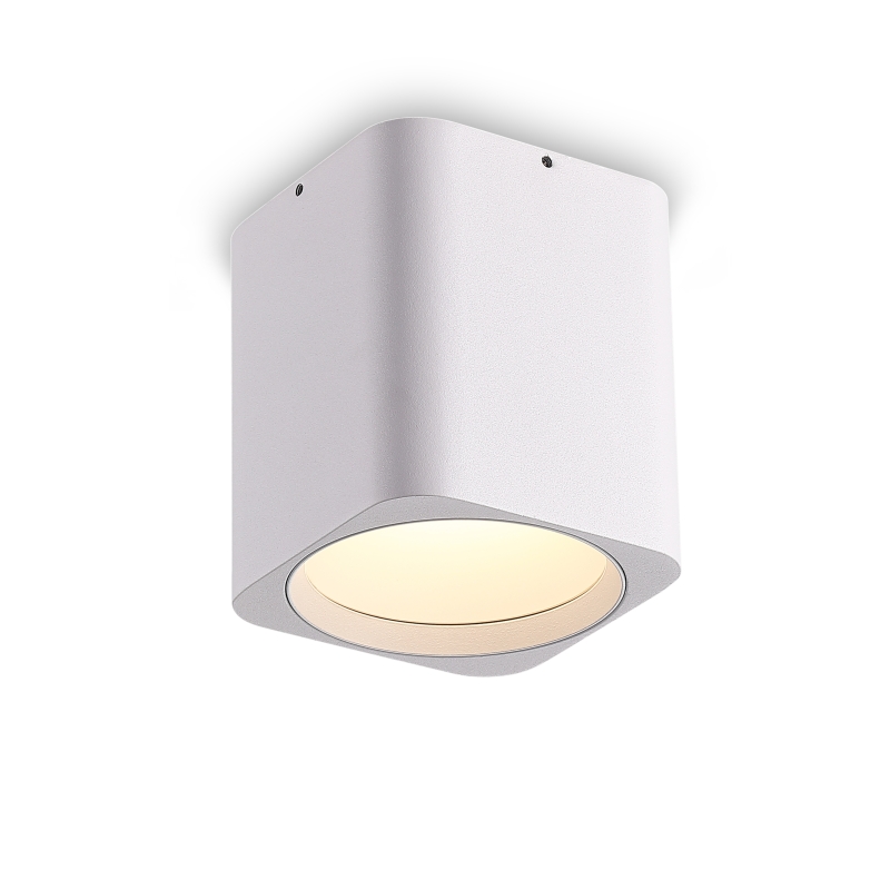 LBL509-WT-WT-12W COB Surface Downlights