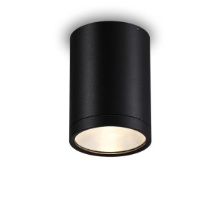 LBL512-12W Cob Outdoor Ceiling Light