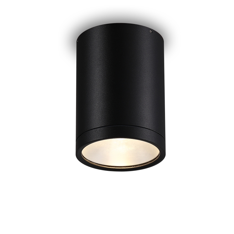 LBL512-12W Cob Outdoor Ceiling Light