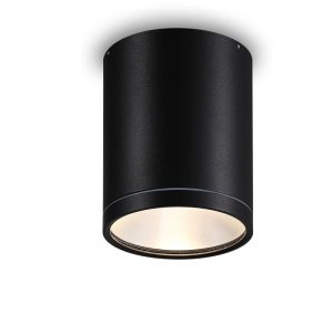 LBL513-18W Cob Outdoor Ceiling Light