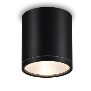 LBL514-24W Cob Outdoor Ceiling Light
