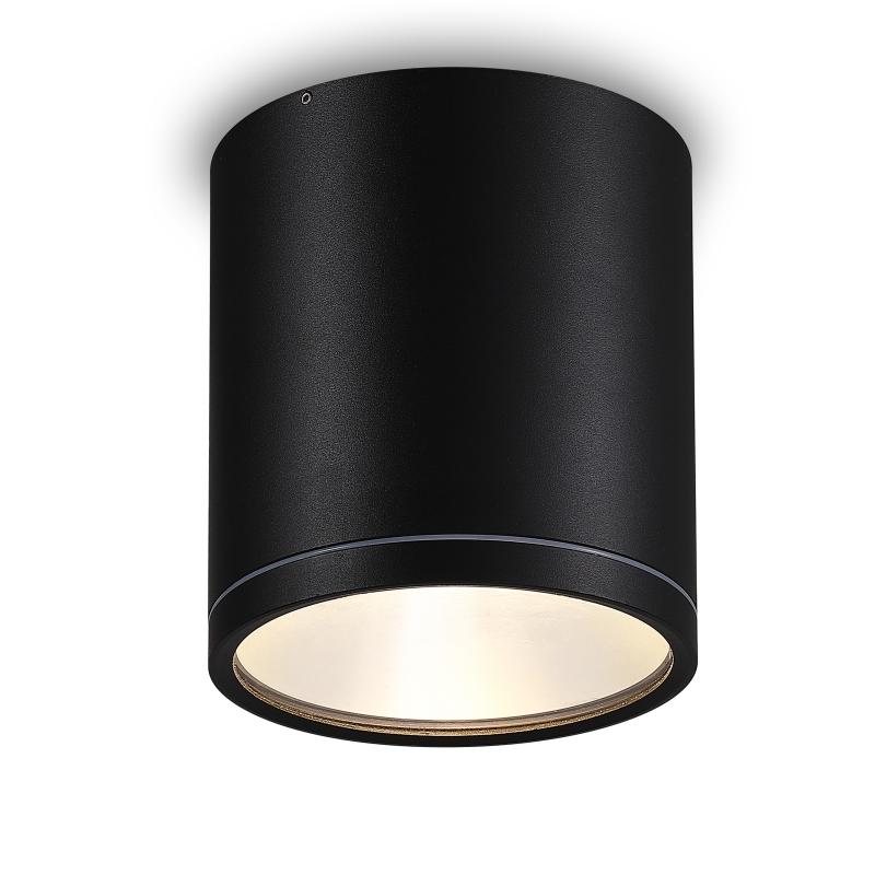 LBL514-24W Cob Outdoor Ceiling Light