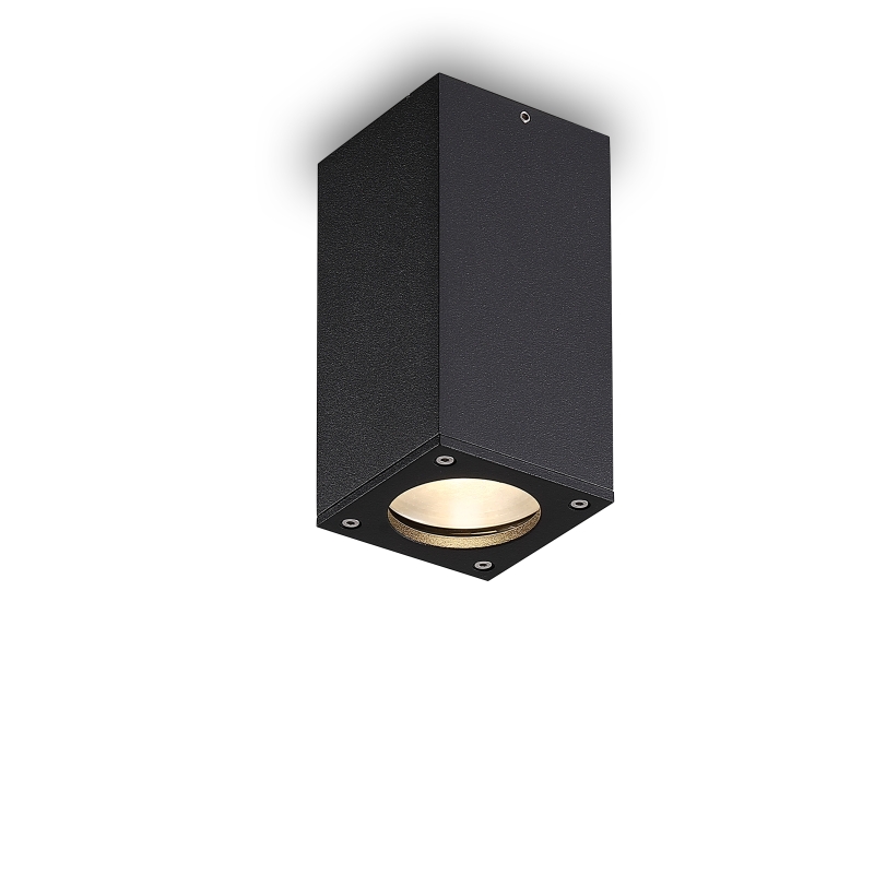 LBL515-5W Cob Outdoor Ceiling Light