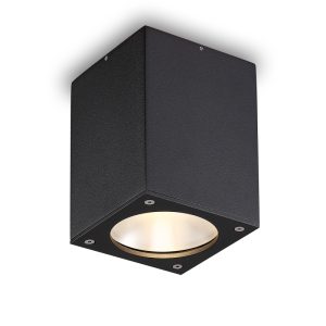 LBL516-12W Cob Outdoor Ceiling Light