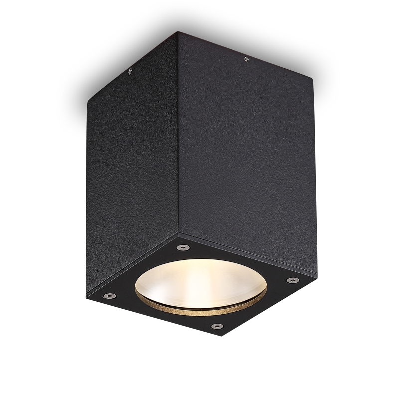 LBL516-12W Cob Outdoor Ceiling Light