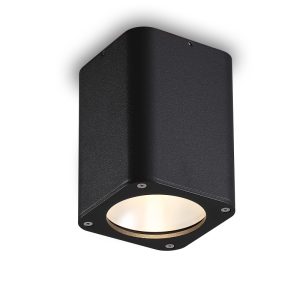 LBL518-12W Cob Outdoor Ceiling Light