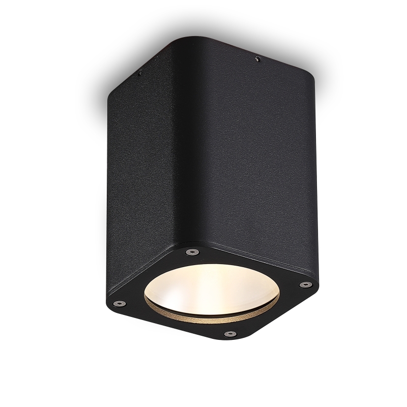 LBL518-12W Cob Outdoor Ceiling Light