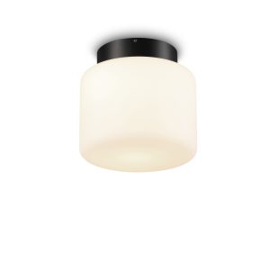 LBL530 Milk Glass Shade 12W Led Ceiling Light IP65 for Outdoor
