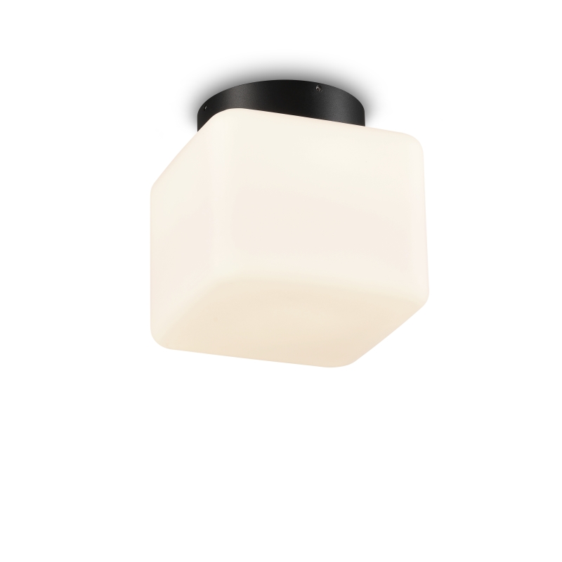 LBL531 Milk Glass Shade 12W Led Ceiling Light IP65 for Outdoor