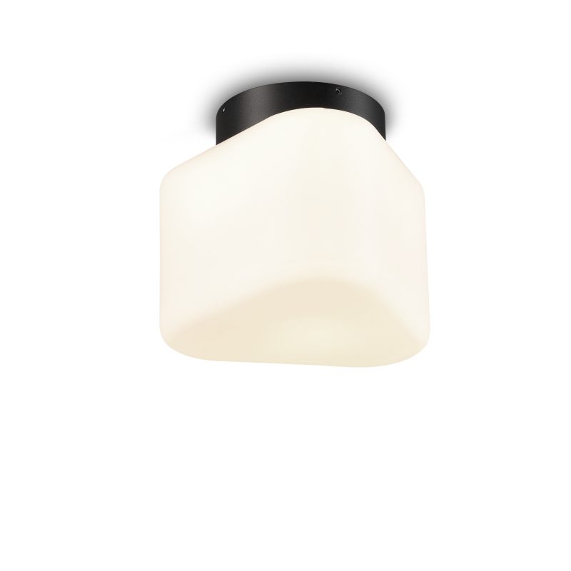 LBL532 Milk Glass Shade 12W Led Ceiling Light IP65 for Outdoor