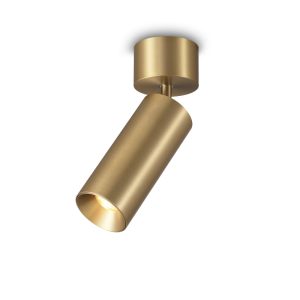LSP729-BG 12W Gold Finish Led Spot Light Surface Mount